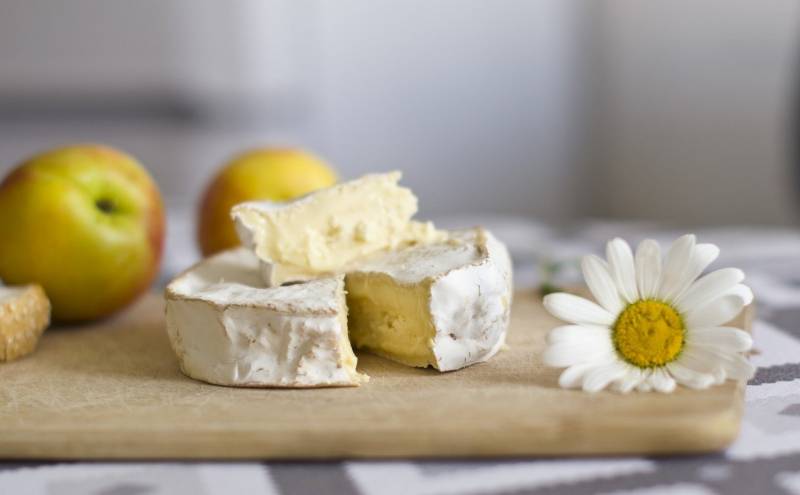 Camembert BIO de la marque R BIO pour magasins et spécialistes du bio