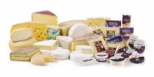 Brie BIO pour grossiste en fromage et pour magasins BIO