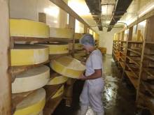 FROMAGES BIO POUR PROFESSIONNELS REIMS