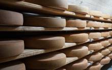 Fromages BIO pour professionnels Nantes