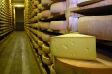 Fromages BIO pour grossistes et revendeurs Marseille